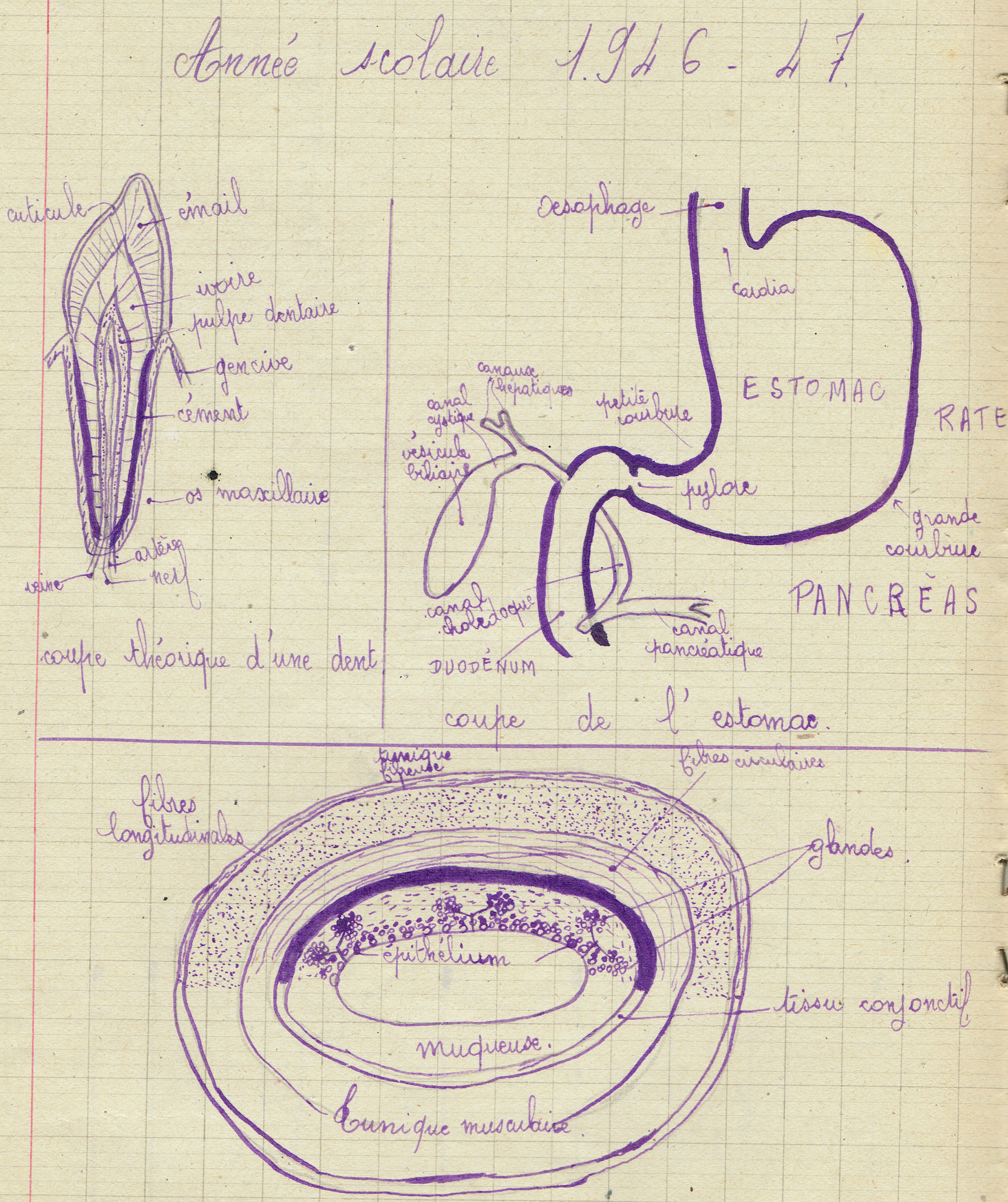 SciencesNaturelles1