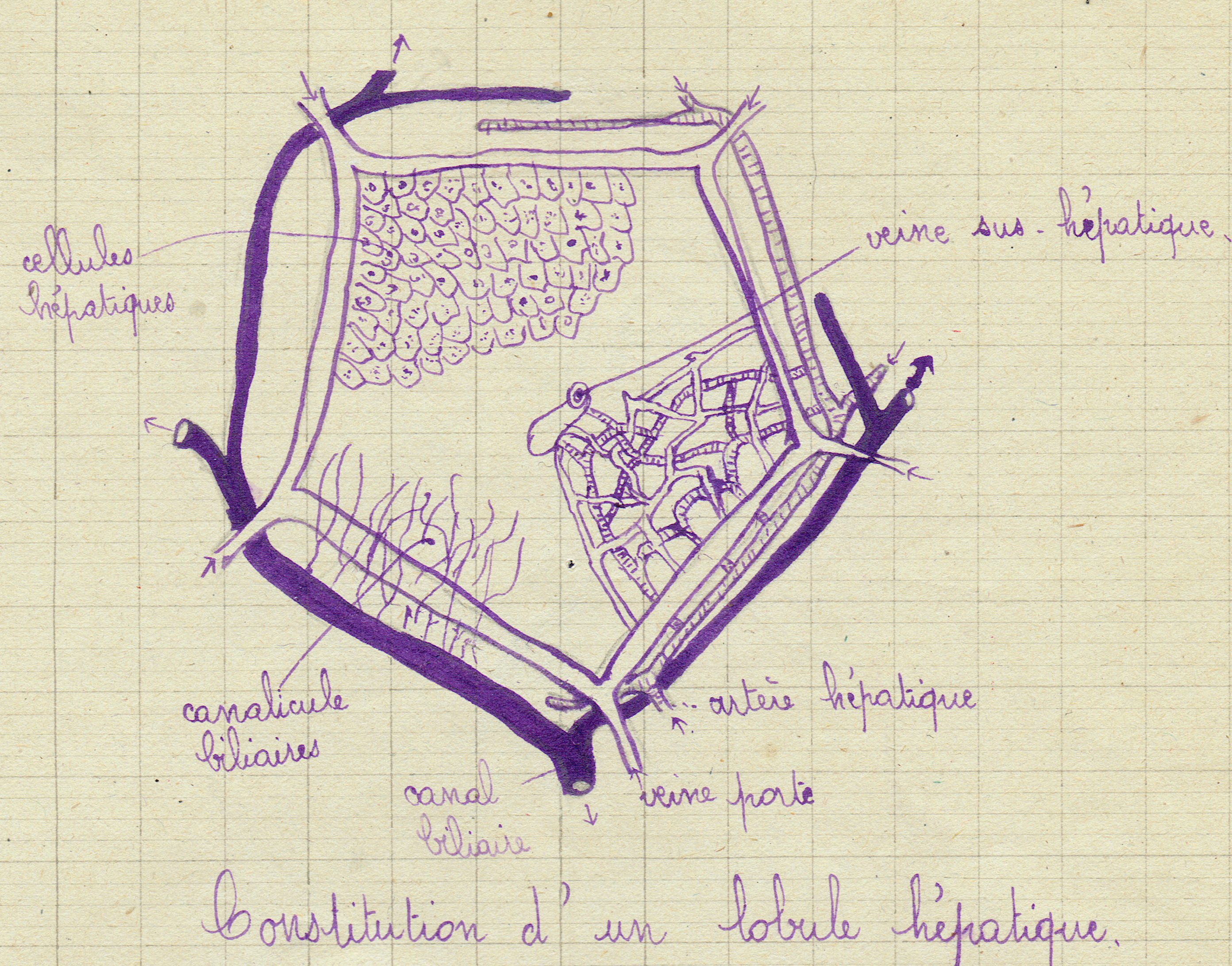 SciencesNaturelles2