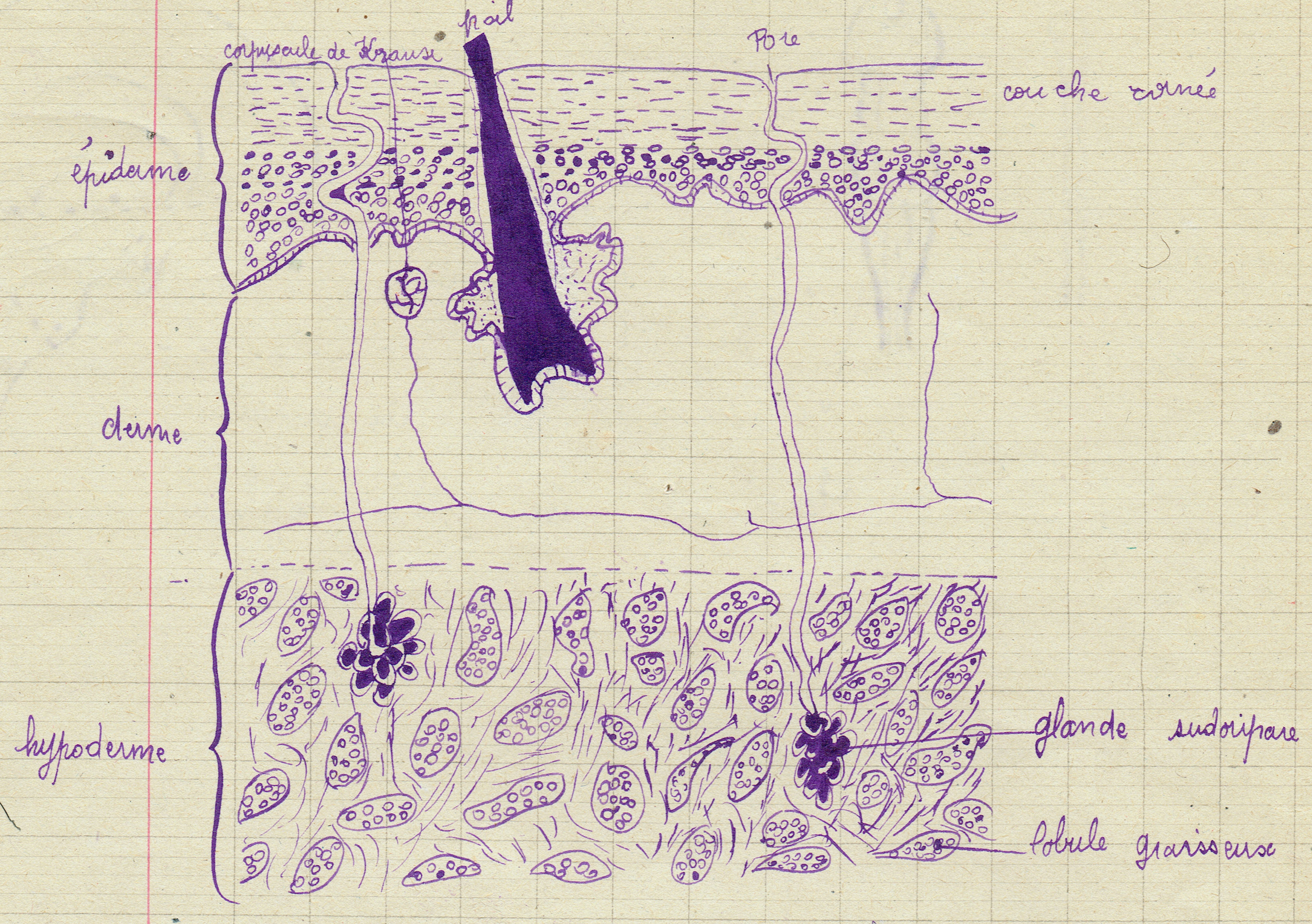 SciencesNaturelles3