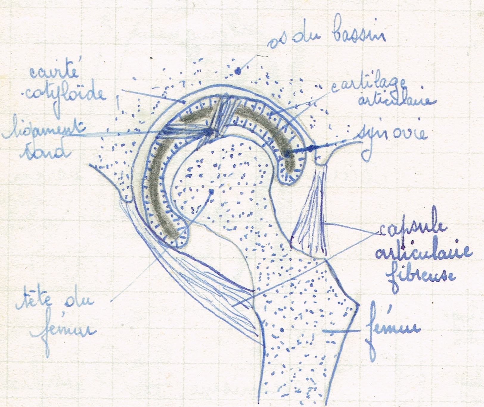 SciencesNaturelles5