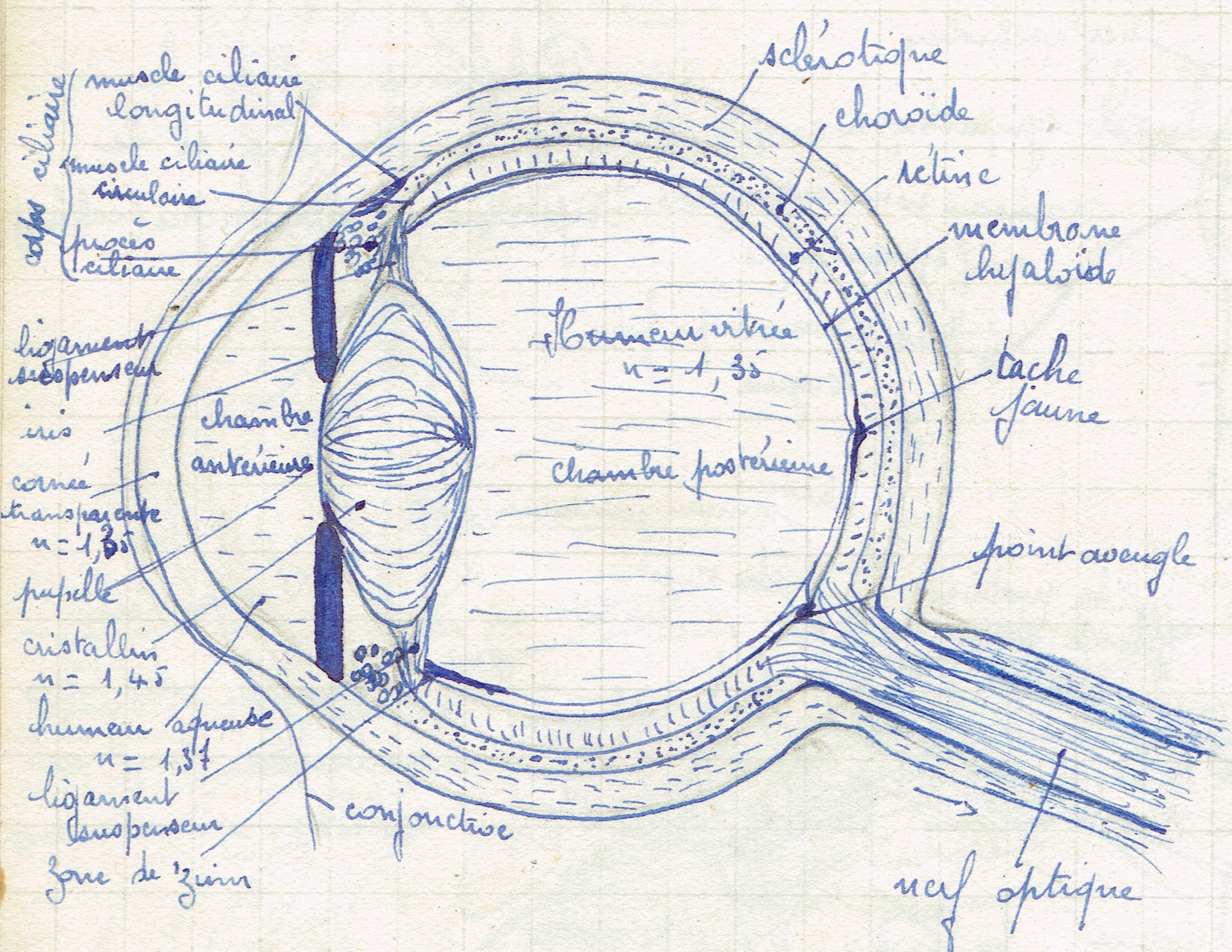 SciencesNaturelles6