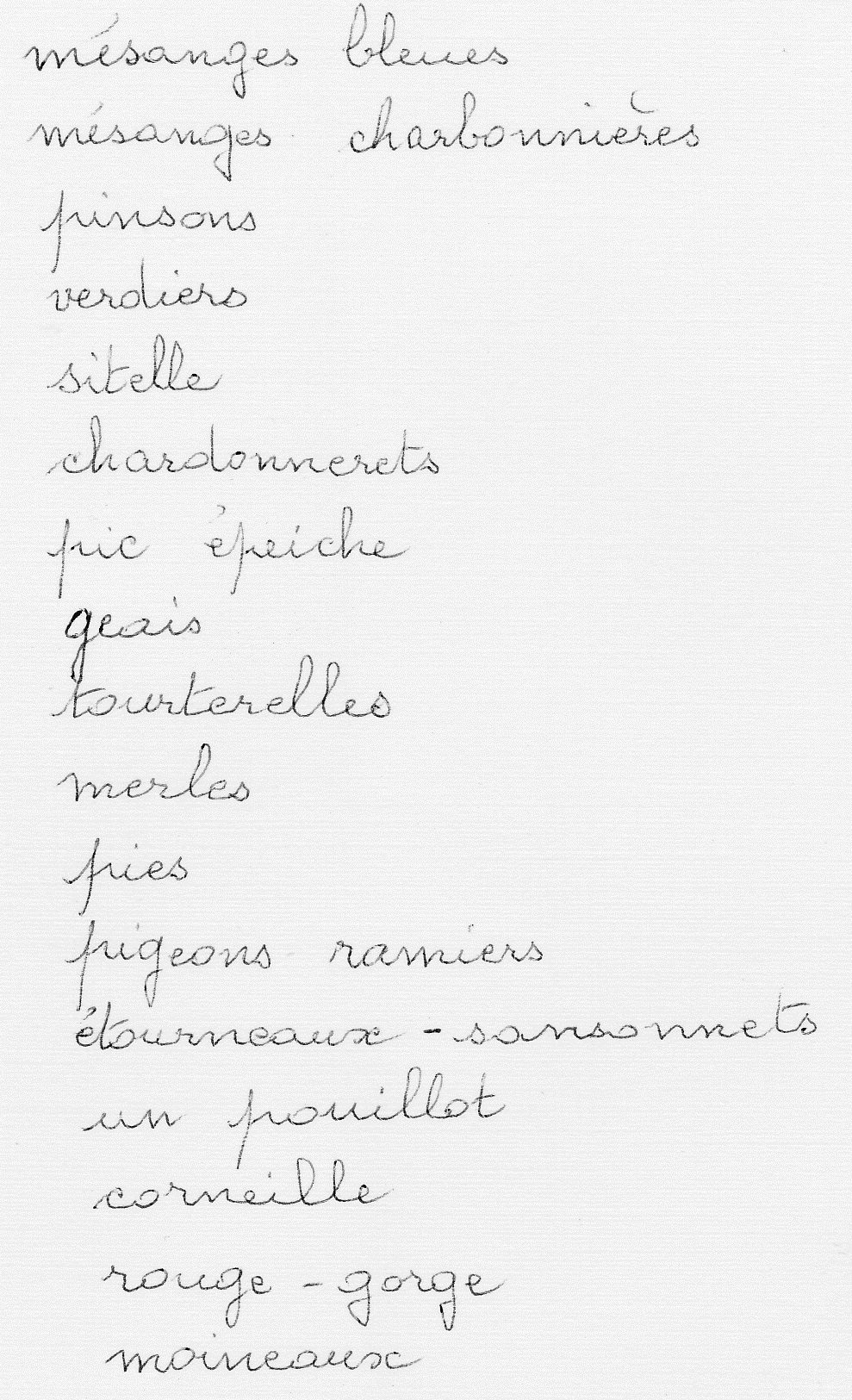 oiseauxJardin