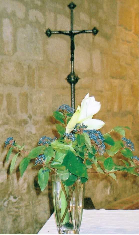fleursDec2010