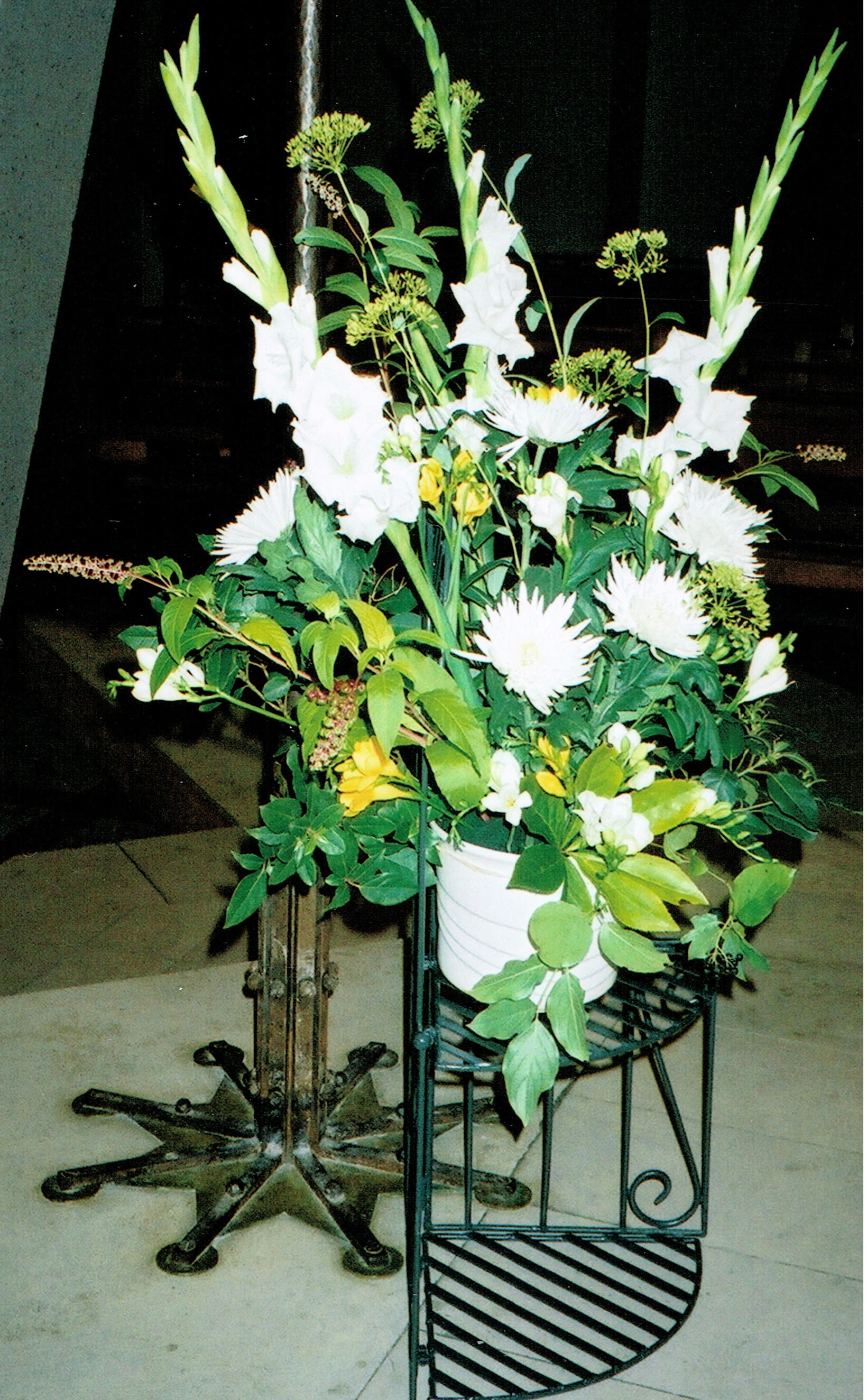 fleursGlaieulsDalhias