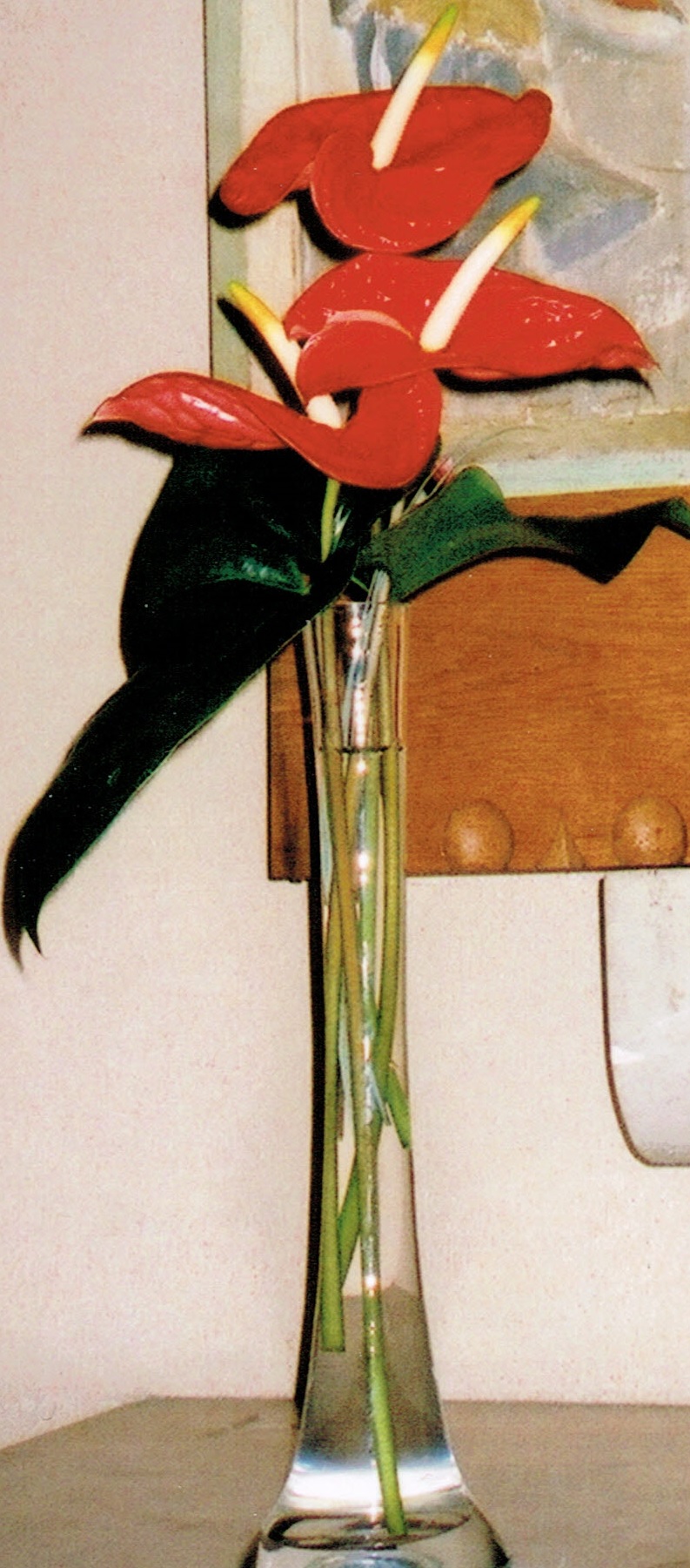 fleursJuin2012