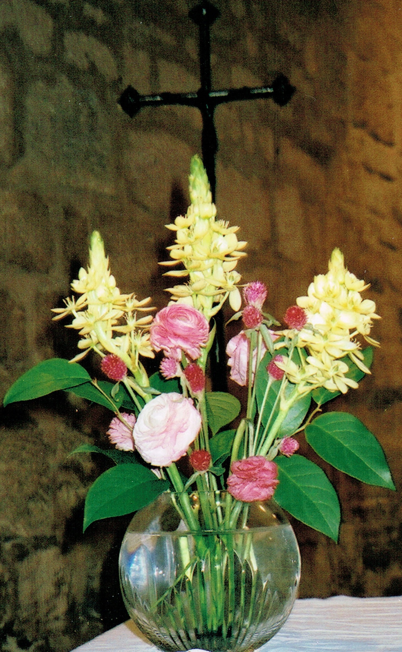 fleursNov2010