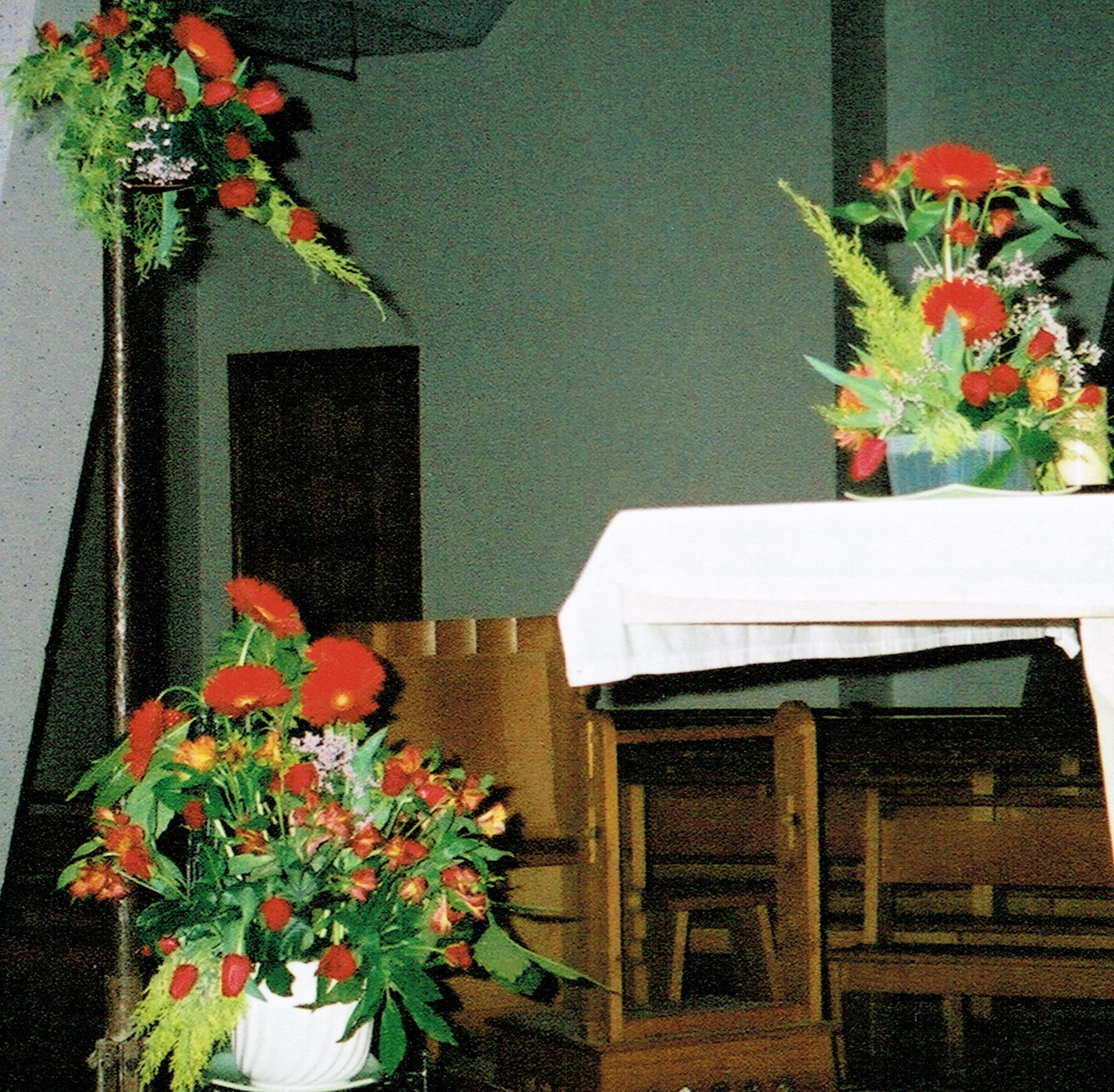 fleursMars2002_ensemble